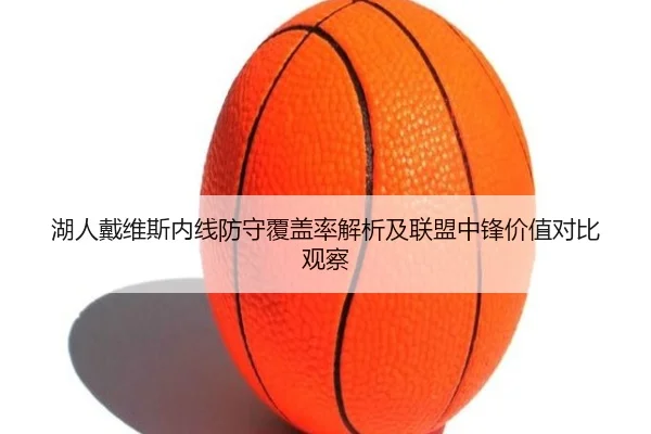 湖人戴维斯内线防守覆盖率解析及联盟中锋价值对比观察